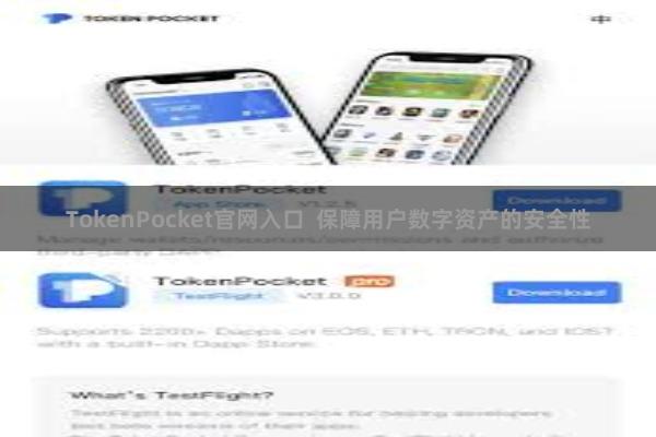 TokenPocket官网入口 保障用户数字资产的安全性